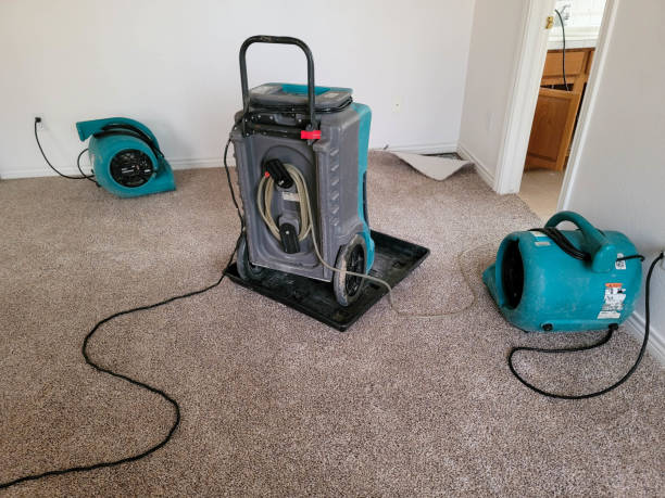 Best Ceiling water damage repair  in Baden, MD