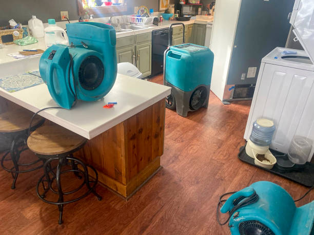 Best Mold removal after water damage  in Baden, MD