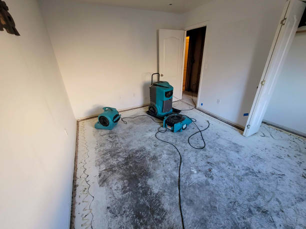 Reliable Baden, MD Water damage restoration Solutions