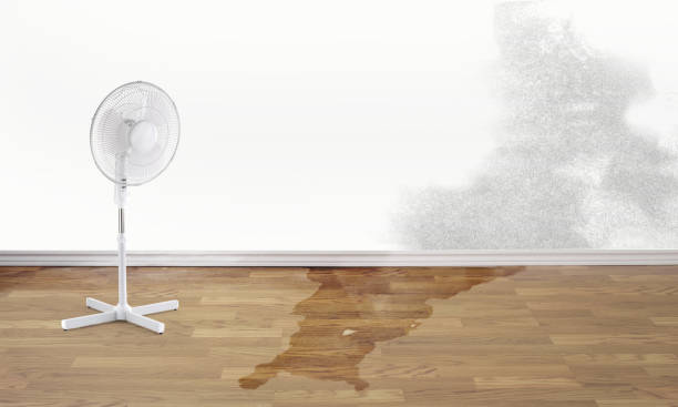 Carpet water damage restoration in Baden, MD