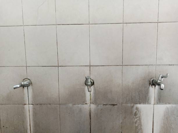 Best Water damage repair service  in Baden, MD