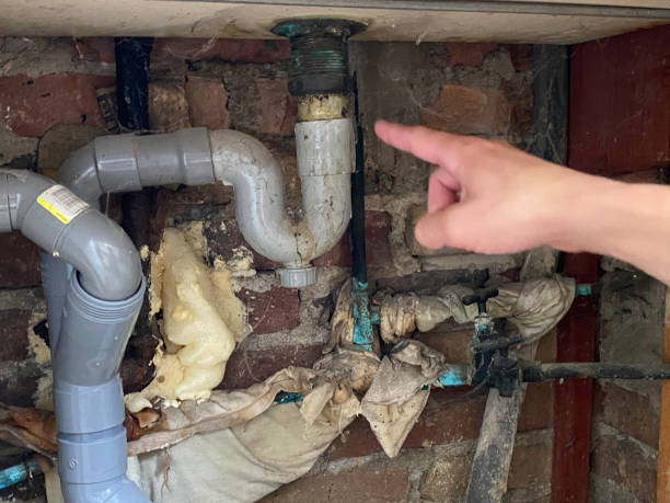 Best Flood damage cleanup  in Baden, MD