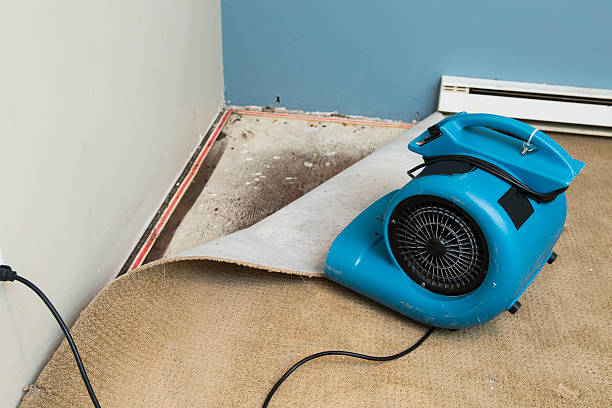  Baden, MD Water damage restoration Pros
